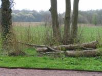 Klik op de foto voor groter formaat